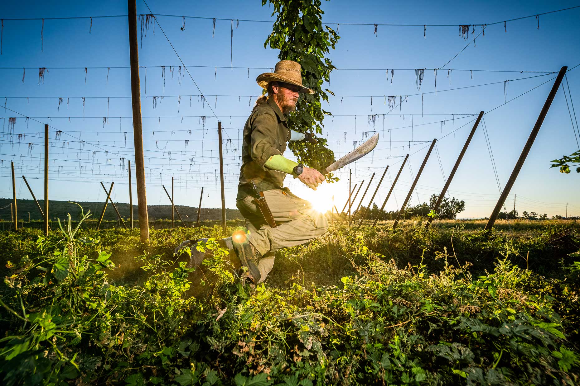 aaron-ingrao-billygoat-hops-farm-montrose-colorado-1489-Edit-Edit