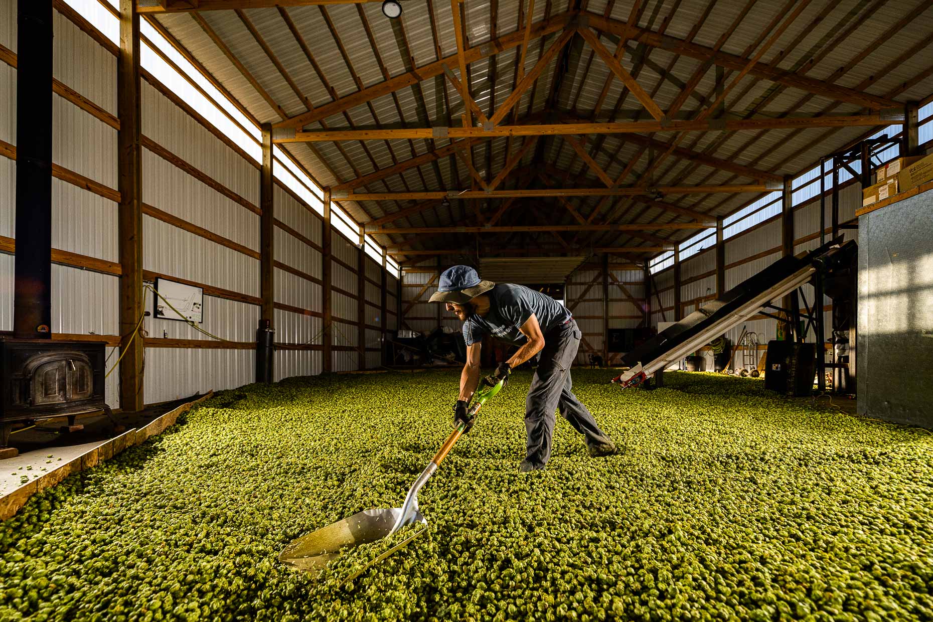 aaron-ingrao-billygoat-hops-farm-montrose-colorado-995