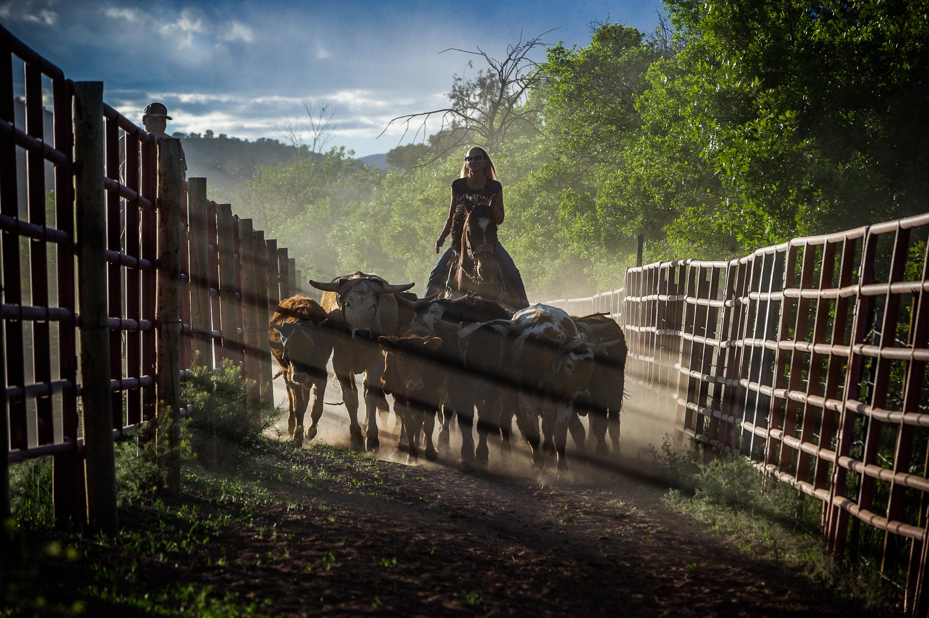 aaron-ingrao-cattle-roping-masters-arena-durango-colorado-281-Edit